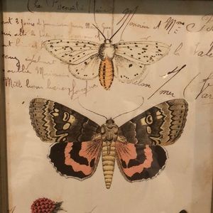 Meet your Posher, Lily